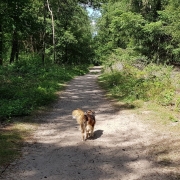 20200527-blog-zes-oplossingen-voor-een-volle-stressemmer