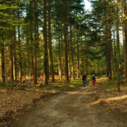 Berichten blogs website (7)