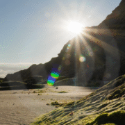 Berichten blogs website (4)
