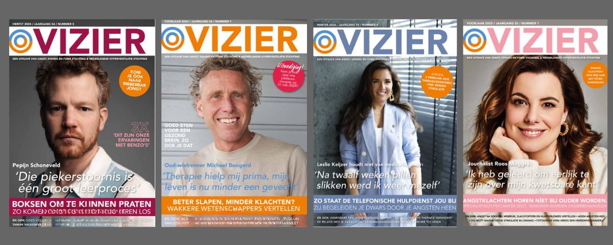 Vizier Vizier
