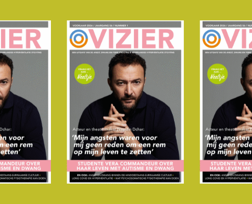 Vizier