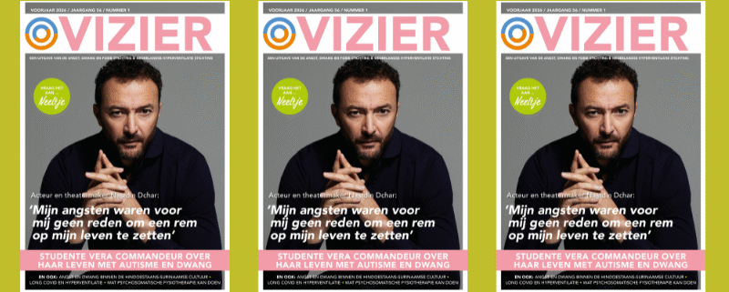 Vizier