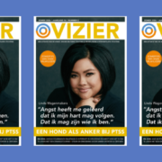 Vizier 2-2026